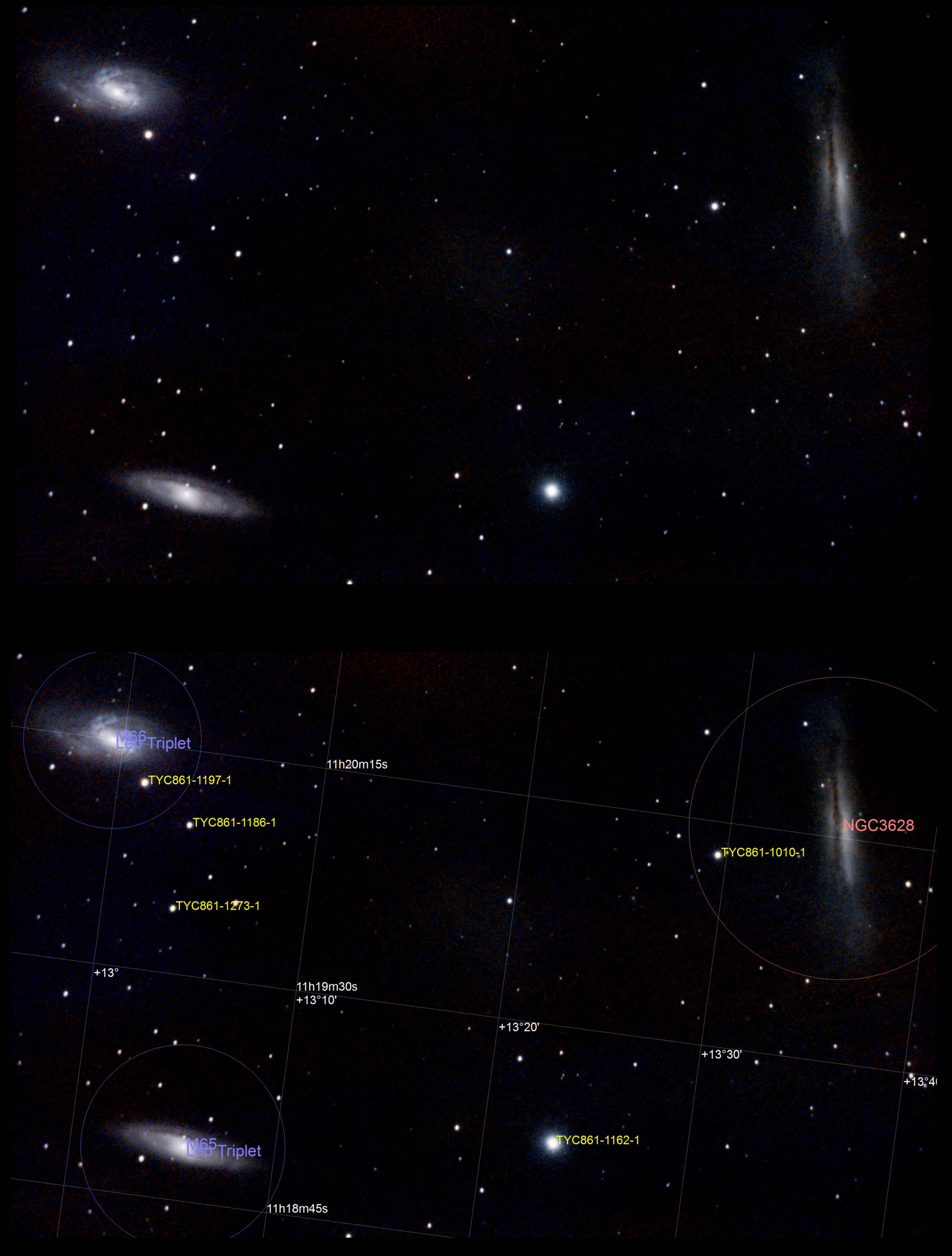 Leo Triplet