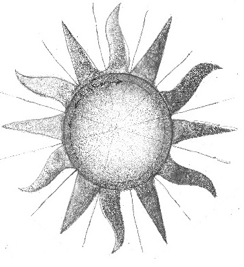 sun