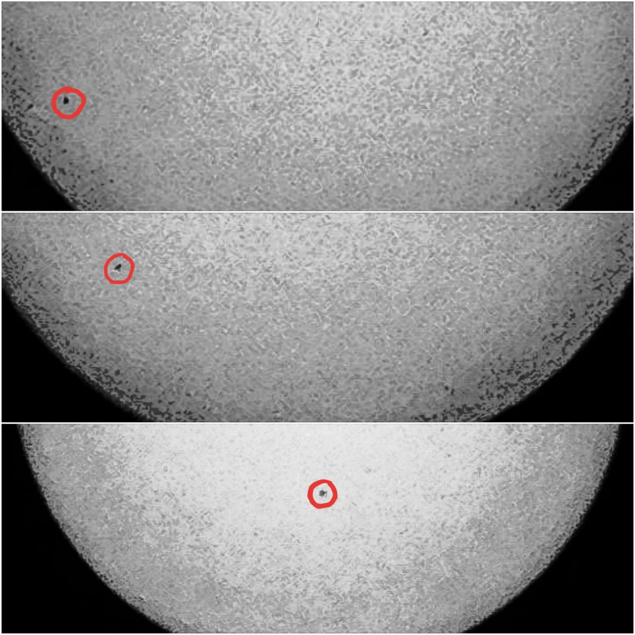 sunspot region 2765